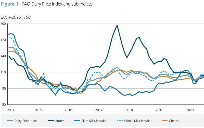 Global Dairy Prices Decline Amid Sufficient Export Supplies