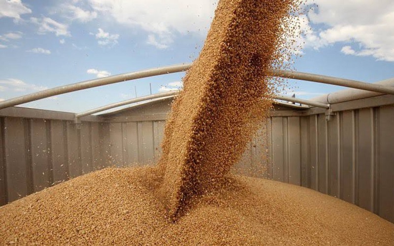 Кому Россия будет продавать зерно в 2023 году?