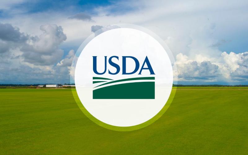 USDA Announces Increased Grants for Specialty Crop Programs