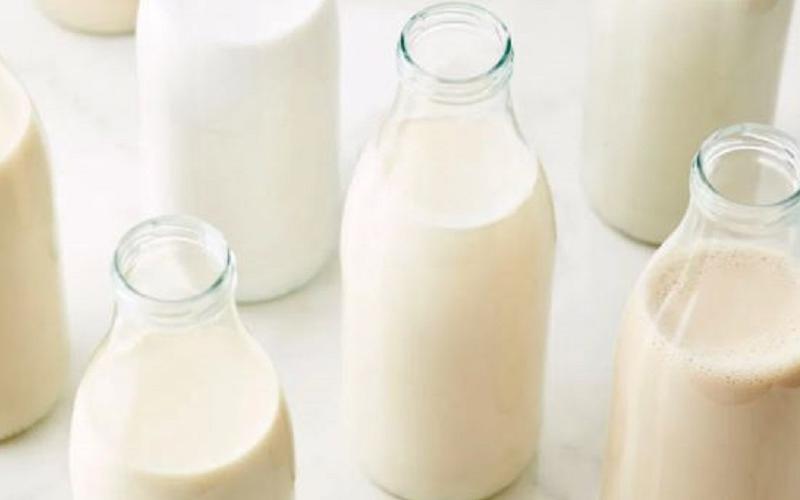 Dairy Exports Surge in Argentina, Decline in Uruguay