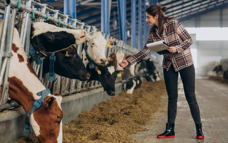 Bluetongue Virus Detection Raises Concerns in UK Dairy Sector Bluetongue Virus Detection Raises Concerns in UK Dairy Sector