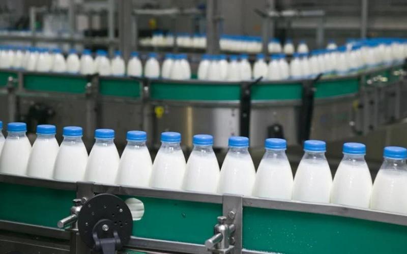DKMUL, Mangaluru Talebini Karşılamak İçin Büyük Süt Ürünleri Geliştirme Planlıyor