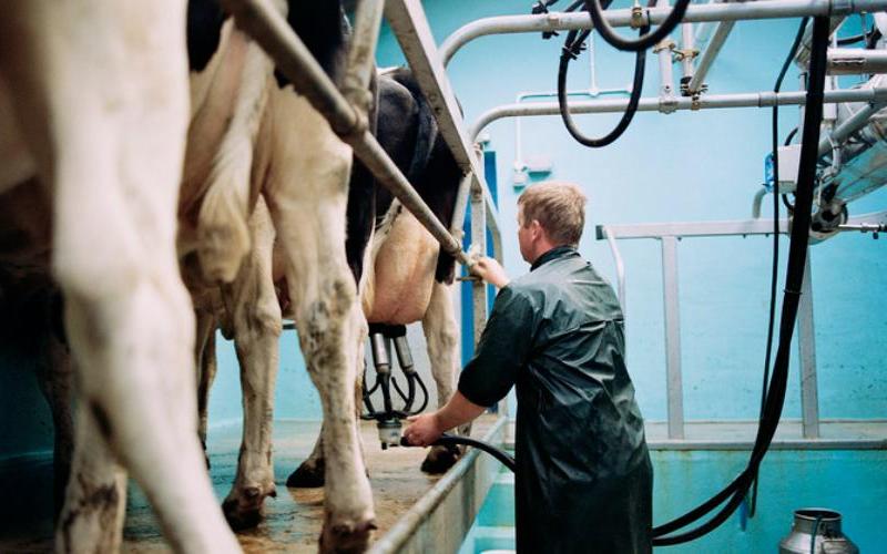 New Environmental Permitting Regulations May Impact Dairy Farms in England