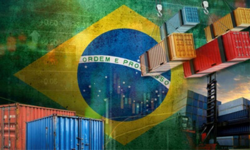 Brazilian Dairy Exports Require Stronger Animal Health Controls