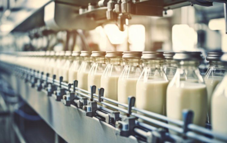 Экспорт молочной продукции Китая ускоряется, опережая внутренний спрос