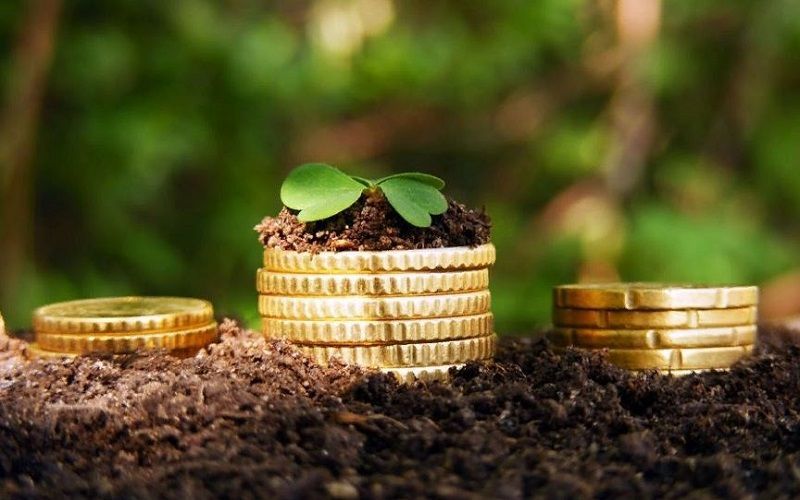 В животноводство Костанайской области инвестируют более 40 млрд тенге