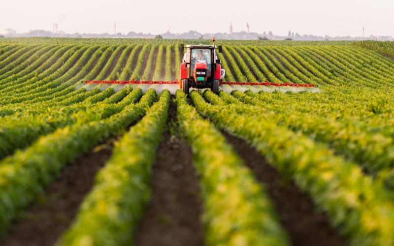 EAEU Agricultural Producer Prices Rise by 10.4% in the First Half of 2025