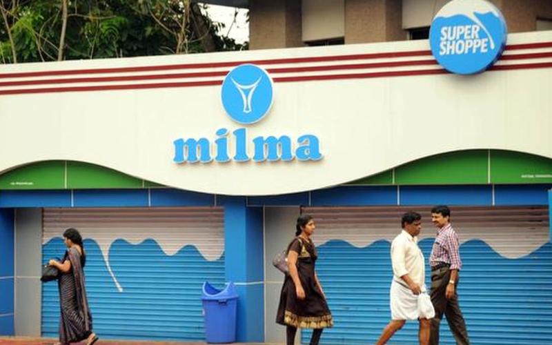 ارتفاع بنسبة 14% في جمع الحليب من قبل Milma وسط تحديات اقتصادية