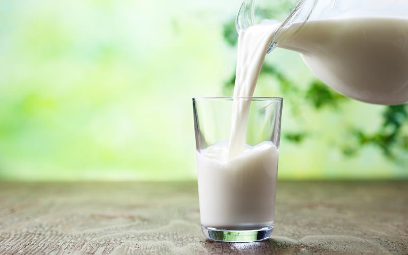 Chile Boosts Milk Production by 7.7%