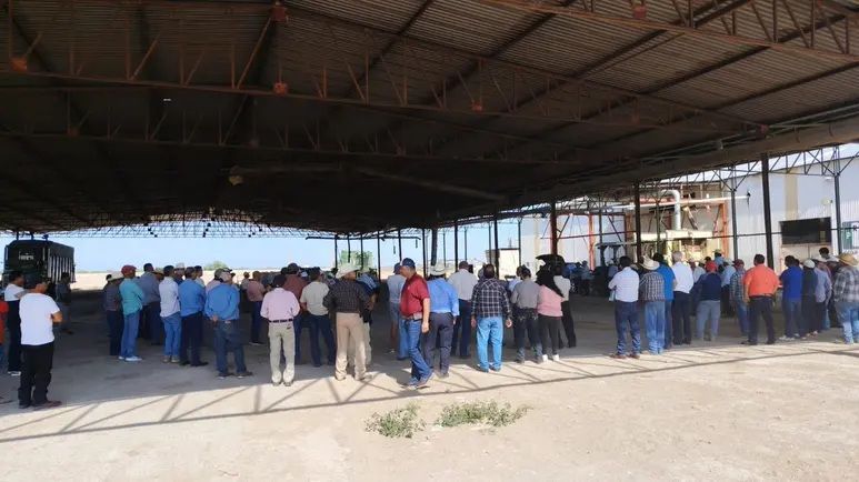 Forage Price Dispute Intensifies in Coahuila and Durango