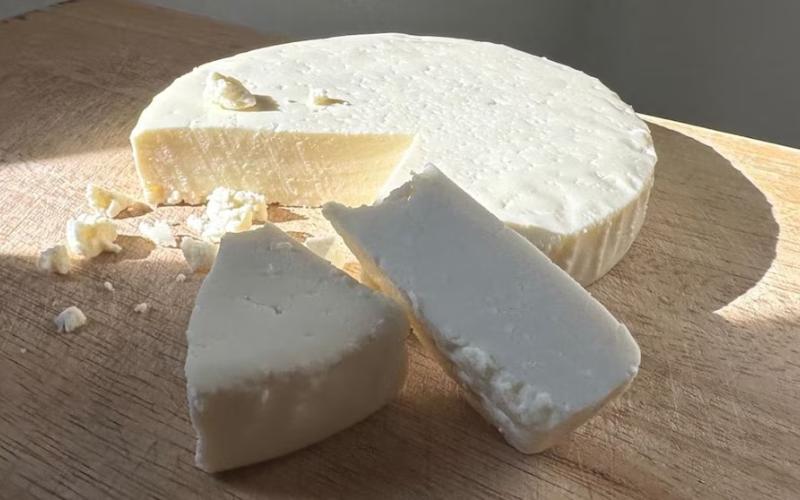 İrlanda'da Listeria Salgını Peynir Geri Çağrılmasına Yol Açtı