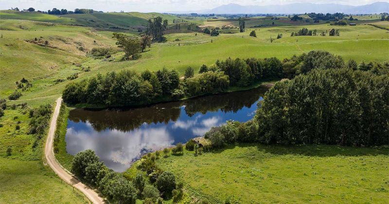 Ponds Need Constructed Wetlands to Reduce Nitrogen Loss