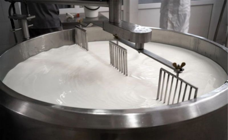 Paraná Opens Legal Path for Artisanal Raw-Milk Cheeses