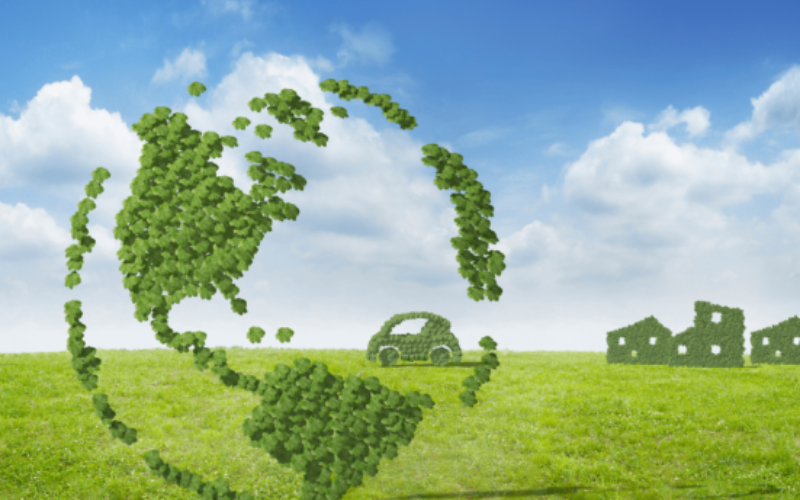 Provilac Introduces India's First High-Protein Fresh Milk Product