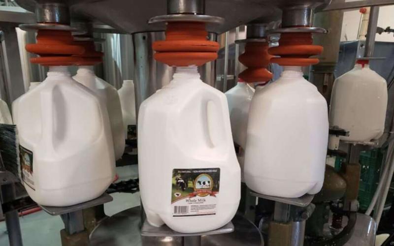 من المتوقع أن تقود الولايات المتحدة نمو صناعة الألبان العالمية في عام 2026