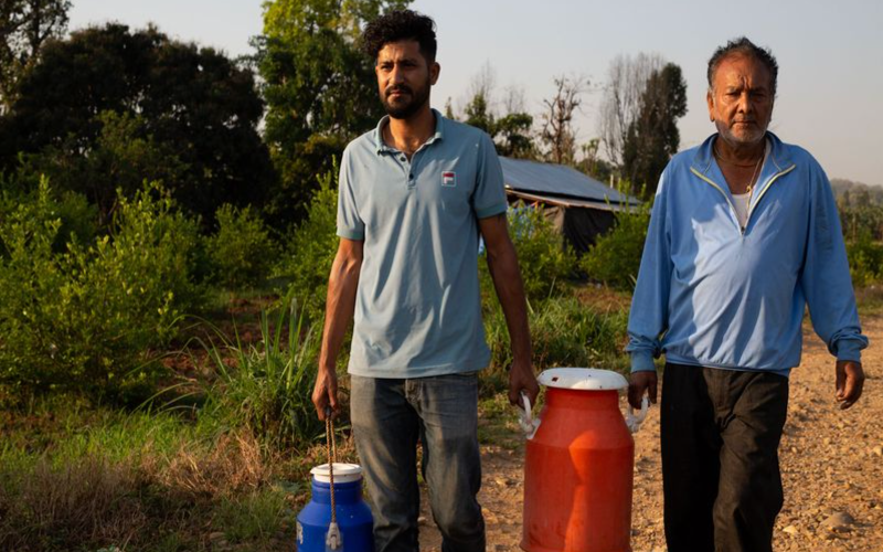 La diáspora nepalí regresa a casa para impulsar la ganadería lechera ante cambios en políticas