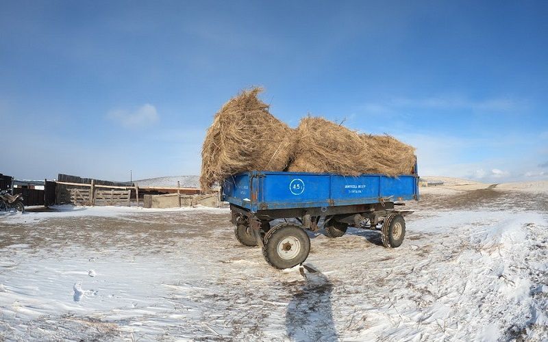Закон об ЛПХ исключили из Концепции развития АПК Казахстана