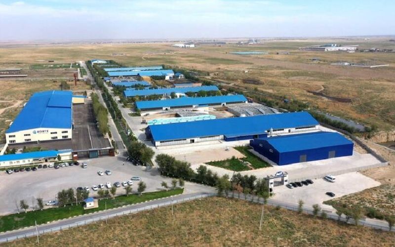 Проект «Бөрте Милка» в Туркестанской области увеличил выпуск молока на 60%