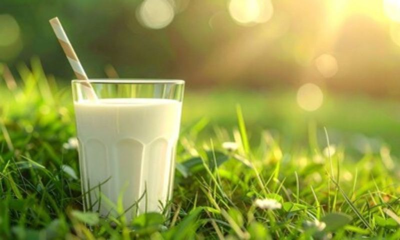 Genetic Testing Fuels Growth in Brazil's A2 Milk and Buffalo Dairy Sectors