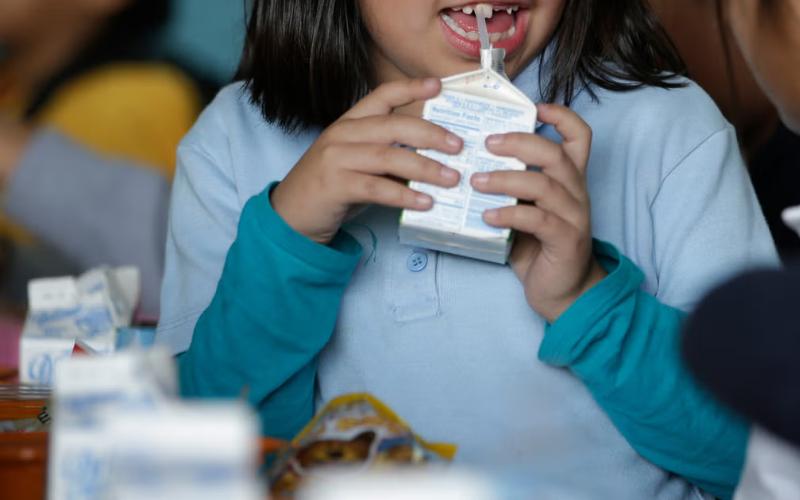 Whole Milk Returns to U.S. School Cafeterias Amid Nutritional Debate