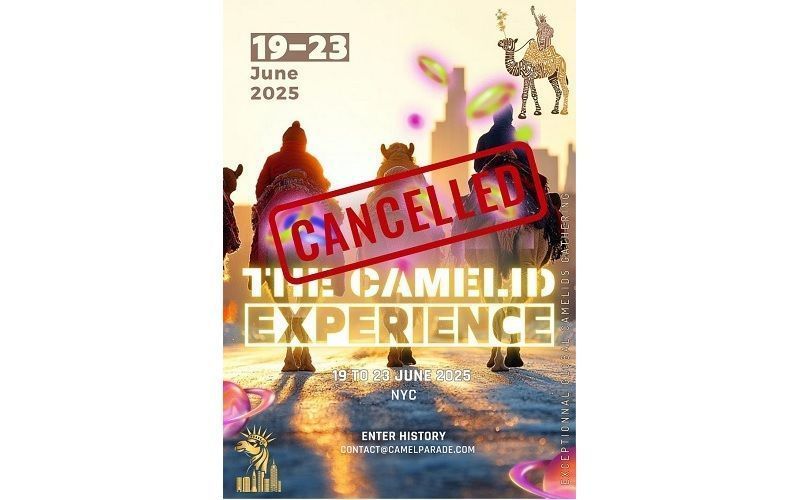 Официально отменено: The Camelid Experience NYC 2025 не состоится из-за глобальной нестабильности и проблем с безопасностью Официально отменено: The Camelid Experience NYC 2025 не состоится из-за глобальной нестабильности и проблем с безопасностью