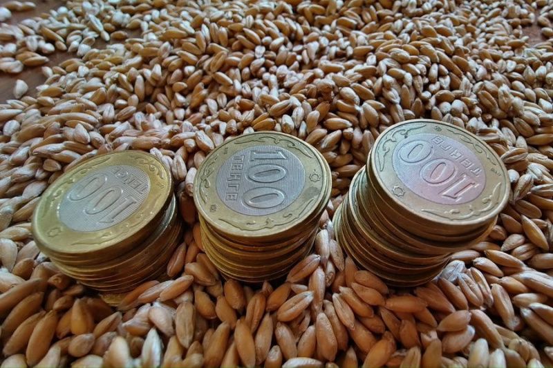Тариф на электроэнергию для фермеров Акмолинской области вырос на 35%