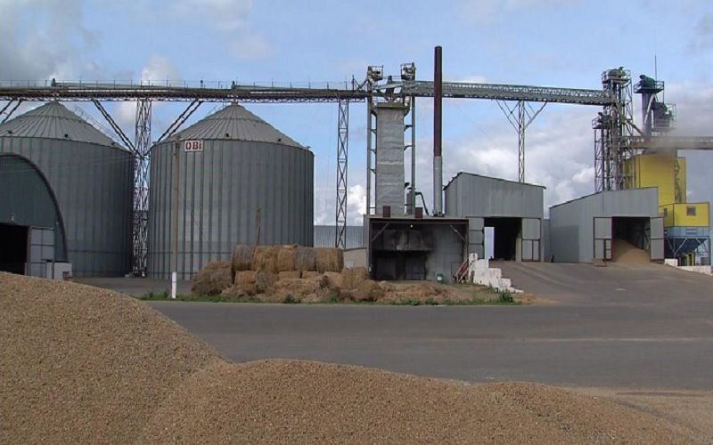 На юге Казахстана строится зерновой и комбикормовый комплекс стоимостью 10 млрд тенге