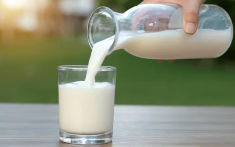 Tolima Dairy Producers Sound Alarm Over Low Milk Prices