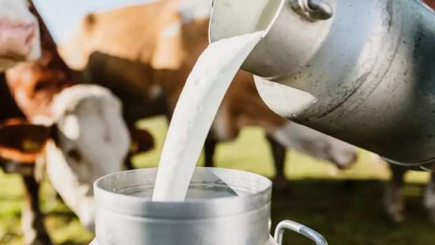 Sri Lanka Initiates Talks to Strengthen Dairy Industry