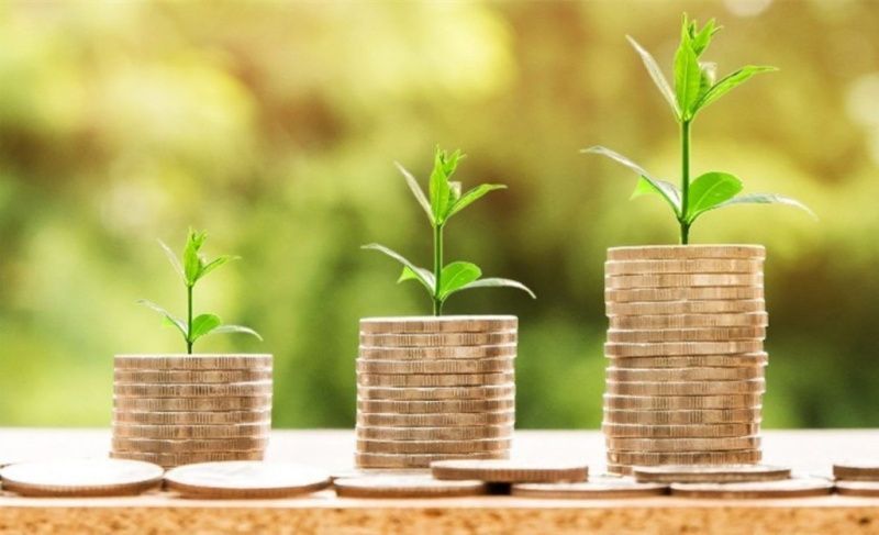جمعية COAPAR تجمع 8.7 مليون ريال برازيلي لإنشاء مصنع حليب مجفف في ساو باولو