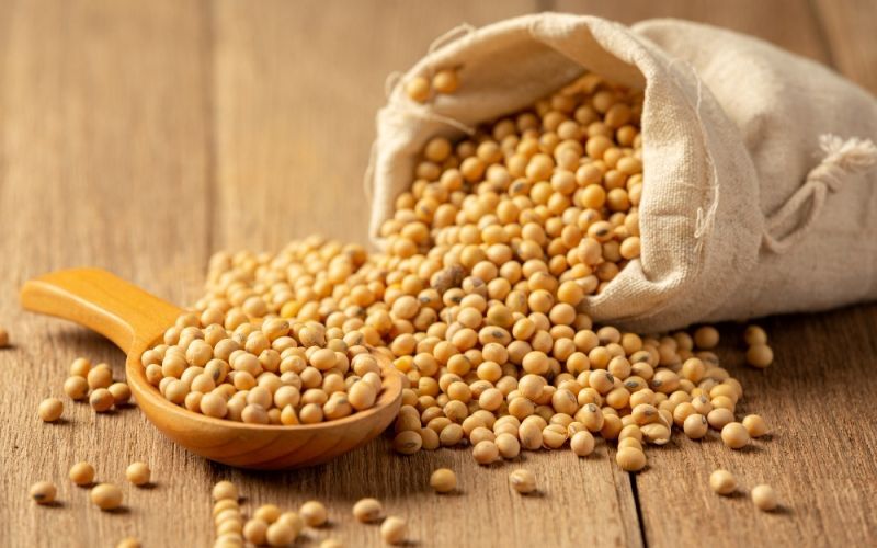 COFCO International to Supply 1.5 Million Tons of Sustainable Soybeans to Chinese Dairy Firms