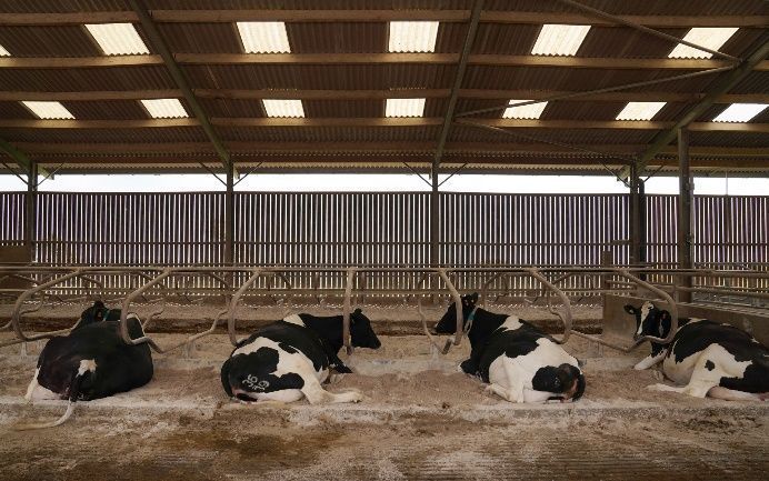 Dairy Farmers Can Protect Milk Premiums Through Hygiene