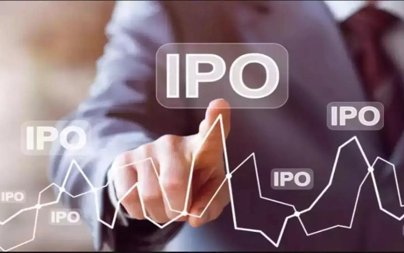 Молочные и продуктовые бренды стимулируют рост IPO в Индии на 9,000 крор Молочные и продуктовые бренды стимулируют рост IPO в Индии на 9,000 крор