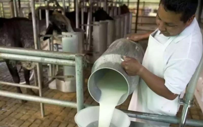 Argentinian Dairy Firm Invests $12M to Reopen Closed Plant