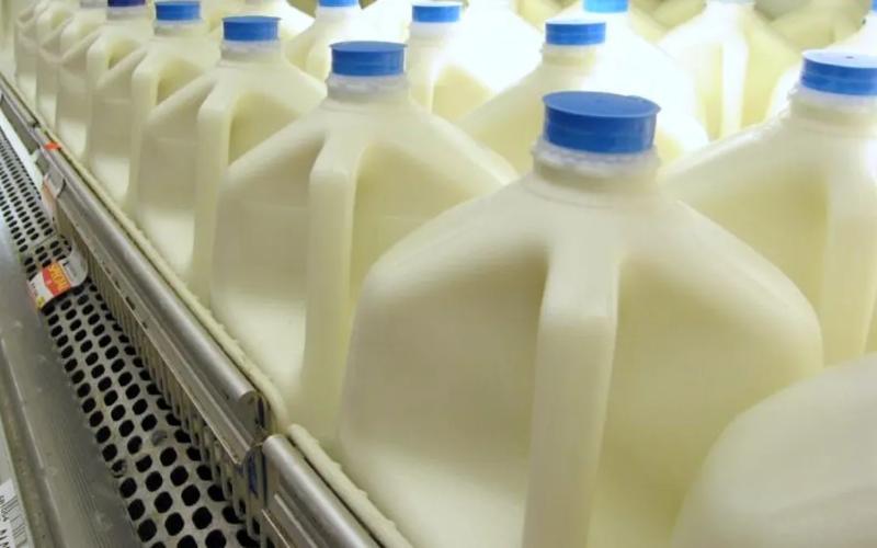 USDA Announces $50 Million Relief Package for Dairy Producers