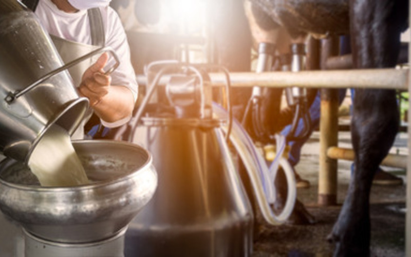 Средняя цена на сырое молоко по сравнению с 2019 годом снизилась всего на 2% Средняя цена на сырое молоко по сравнению с 2019 годом снизилась всего на 2%