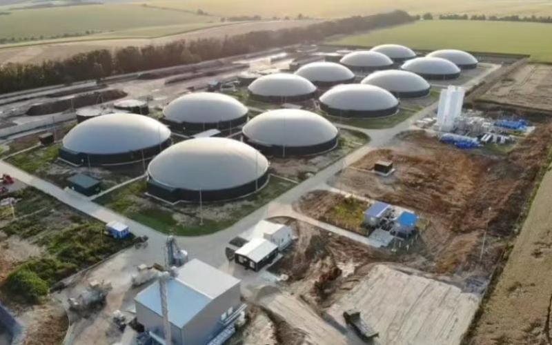 Delhi's Plan to Tackle Dairy Waste with Biogas and Sewage Projects