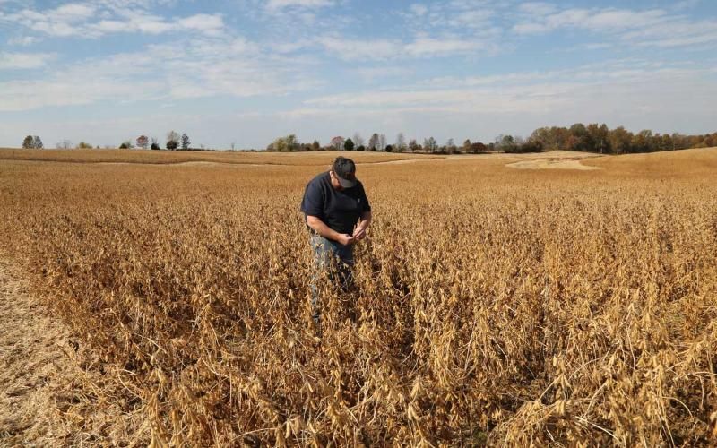 Vermont Dairy Farms Struggle Amid Severe Drought Conditions