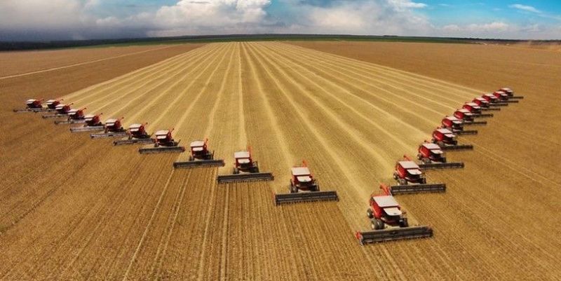 В 2022 году кредитование сезонных полевых работ в России выросло на 42,5%