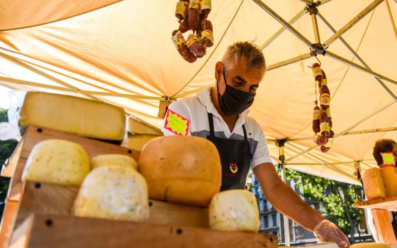 Popularidad Creciente del Queso Argentino en los Mercados Urbanos
