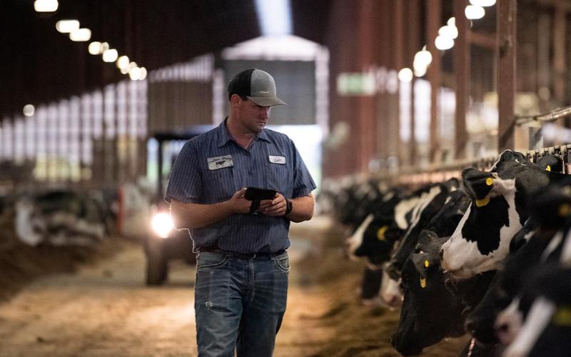 Zoetis и UNIFORM-Agri сотрудничают для интеграции генетических данных в управлении молочными фермами