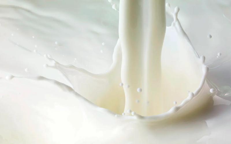 BNZ Forecasts Robust Dairy Outlook Amid Variable Global Factors