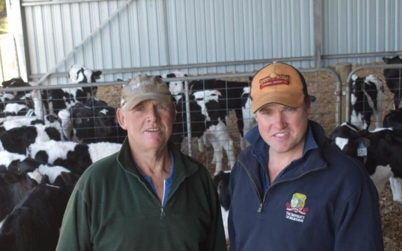 Victorian Dairy Price War: Small Processors Lead the Charge
