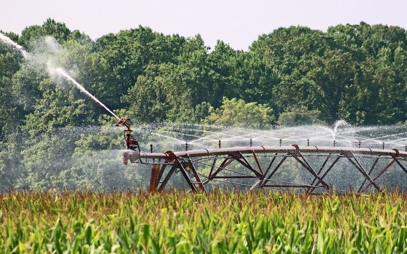 Вопросы орошения обсудят на AgroWorld Kazakhstan