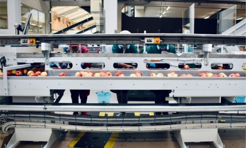 Brazil's Food Industry Sees 2.4% Employment Growth, Reaching 2.1 Million Jobs