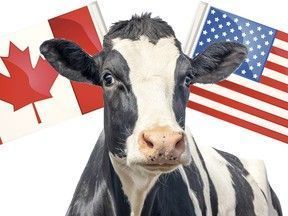 Canada's Dairy Deal and Trump's Tariffs: A Strategic Negotiation