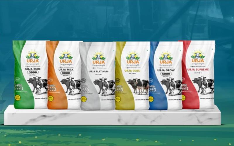 Eva Group Unveils Urja Platinum: Targeted Cattle Feed for High-Yield Dairy Animals