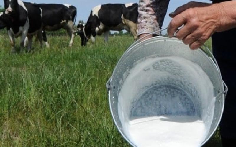 Cartagena del Chairá Boosts the 'Ruta de la Leche' Linking Agriculture, Tourism, and Production