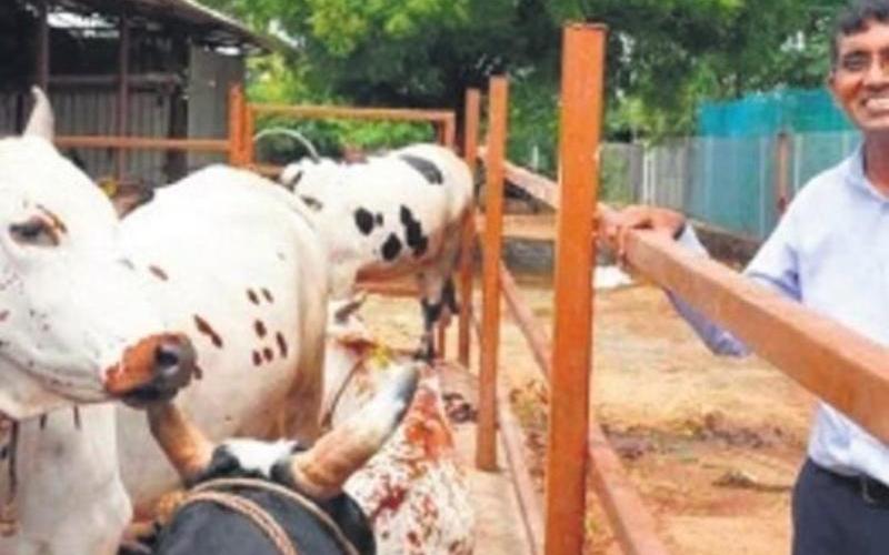 Hindistan'da Artan Maliyetler Ortasında Süt Ürünleri İçin GST Muafiyeti Talep Ediliyor