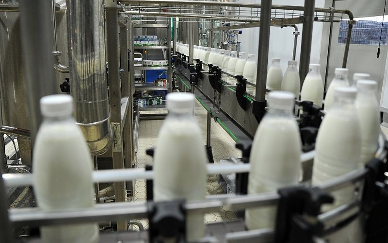 Рост цен на молочную продукцию в России ускоряется из-за повышения себестоимости производства
